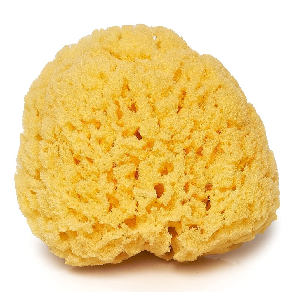 Sea Sponge for Bathing 5 inch-Softly Rough but Not Skin Irritating Yellow, Natural Bath Sponge-Renewable Resource Natural Sponge for Body and Shower-Lathers & Washes Really Well