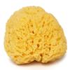 Sea Sponge for Bathing 5 inch-Softly Rough but Not Skin Irritating  Yellow, Natural Bath Sponge-Renewable Resource  Natural Sponge for Body and Shower-Lathers & Washes Really Well view 1