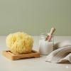 Sea Sponge for Bathing 5 inch-Softly Rough but Not Skin Irritating  Yellow, Natural Bath Sponge-Renewable Resource  Natural Sponge for Body and Shower-Lathers & Washes Really Well view 2