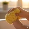 Sea Sponge for Bathing 5 inch-Softly Rough but Not Skin Irritating  Yellow, Natural Bath Sponge-Renewable Resource  Natural Sponge for Body and Shower-Lathers & Washes Really Well view 4