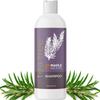 Tea Tree Shampoo for Oily Hair - Paraben and Sulfate Free Clarifying Shampoo for Build Up and Dry Scalp with Tea Tree Oil for Hair - Purifying Aromatherapy Tea Tree Oil Shampoo for Greasy Hair view 1
