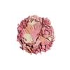 Milani Illuminating Face Powder - Beauty's Touch (0.35 Ounce) Cruelty-Free Highlighter, Blush & Bronzer in One Compact to Shape, Contour & Highlight view 3