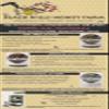 Black Hills Honey Farm, Bee Balm, Propolis Witch Hazel & Aloe, 4 oz view 3