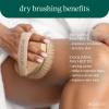 EcoTools Dry Body Brush, Cruelty-Free Bristles Exfoliate & Smooth Skin, Dry Brushing Removes Flaky Skin, May Help Improve Circulation & Tone, Eco-Friendly Skincare Tool, Vegan & Cruelty-Free, 1 Count view 3