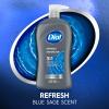 Dial Men 3in1 Body, Hair and Face Wash, Hydro Fresh, 32 fl oz view 3