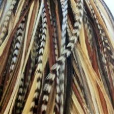 Feather Hair Extension Dark Brown, Black, and Beige Feathers, All Bunched Together at the Tip, Ranging From 7 to 11 Inches in Length, With a Total of 5 Feathers