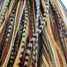 Feather Hair Extension Dark Brown, Black, and Beige Feathers, All Bunched Together at the Tip, Ranging From 7 to 11 Inches in Length, With a Total of 5 Feathers