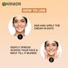 Garnier Skin Naturals B.B Cream - 18g view 4