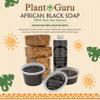 African Black Soap Paste 16 oz. / 1 lb. - 100% Raw Pure Natural From Ghana. Acne Treatment, Aids Against Eczema & Psoriasis, Dry Skin, Scars and Dark Spots. Great For Pimples, Blackhead. view 4