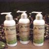 Amish Harvest Natural Moisturizing 8.oz Lotion with Shea Butter view 1