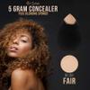 Belloccio Professional Beauty Airbrush Cosmetic Makeup System with 4 Fair Shades of Foundation in 1/4 Ounce Bottles - Kit Includes Blush, Bronzer and Highlighters view 4