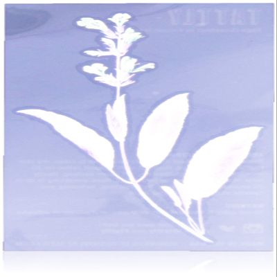 Tattly Temporary Tattoos Scented Sage