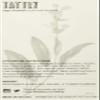 Tattly Temporary Tattoos Scented Sage view 2