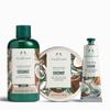 The Body Shop Coconut Shower Cream - Nutty and Creamy for Dry Skin - Vegan Body Wash, 8.4 Fl Oz view 3