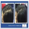 Ambiance Dry Shampoo3-in-1 Cleans, Covers & Conceals. Absorbs Oil to Refresh Hair, Boosting Body & Shine. Covers Roots & Gray Between Colorings. (Combo- Brush + Refill, Blonde) view 4