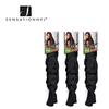 [ Pack of 3 ] X-pression Braiding Hair by Sensationnel / Color 1B / Off Black view 3