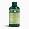 The Body Shop Olive Shower Gel, Paraben-Free Body Wash, 8.4 Fl Oz (Pack of 1) view 2