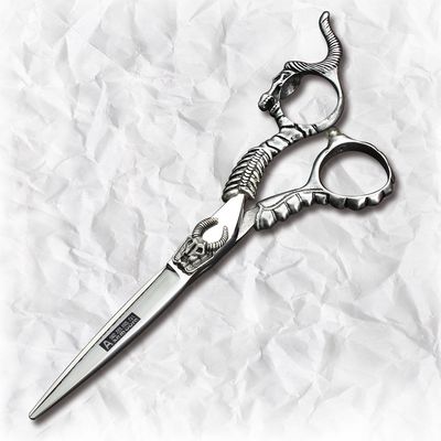 Professional Hair Scissors Hairdressing Cutting+Thinning Scissors Salon Hair Styling Tools (Cutting Scissors)