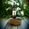 Bearded Buddha Beard Oil & Leave-in Conditioner - 100% Natural & Organic - Best for Groomed Beard Growth, Mustache & Skin Care for Men (Mint Condition) view 2