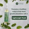 EDEN BodyWorks Peppermint Tea Tree Hair Oil | Dry Hair Treatment for Curly Hair Products | Scalp Oil to Eliminate Dandruff & Boost Shine | Hair Products for Curls | 4 oz view 3