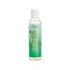 EDEN BodyWorks Peppermint Tea Tree Shampoo | Clarifying Shampoo for Curly Hair | Perfect for Build Up Cleansing | 8oz view 1