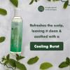 EDEN BodyWorks Peppermint Tea Tree Shampoo | Clarifying Shampoo for Curly Hair | Perfect for Build Up Cleansing | 8oz view 4