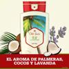 Old Spice Fiji, red Coffee, 16 Fl Oz view 3