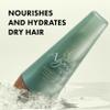 Agave Smoothing Shampoo Hydrating & Frizz Control, Color-Safe, Sulfate-Free, 8.5 fl oz view 3