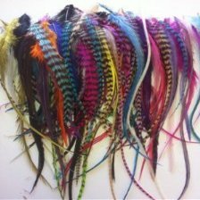 Feather Hair Extension 100 Individual Feathers, Rainbow Mix of Grizzly and Solid Feathers, All Ranging From 4 to 7 Inches or Longer, Includes 20 Silicone Micro Beads