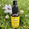 Vika's Essentials Organic Sea Buckthorn Serum view 2