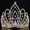 Blossom Pageant Rhinestone Crystal Metal Tiara Crown With Hair Combs Bridal Prom T1294 (Gold) view 1