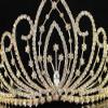 Blossom Pageant Rhinestone Crystal Metal Tiara Crown With Hair Combs Bridal Prom T1294 (Gold) view 2