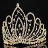 Blossom Pageant Rhinestone Crystal Metal Tiara Crown With Hair Combs Bridal Prom T1294 (Gold) view 3