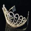 Blossom Pageant Rhinestone Crystal Metal Tiara Crown With Hair Combs Bridal Prom T1294 (Gold) view 4
