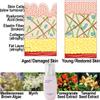 Firming Breast-Enlargement Cream ORGANIC QuadraPLUMP Fat Trapping + Lifting Tightening Actives - 2 Month Supply - Natural Bust Enhancement Plumping Lotion - Made In Canada BOUSTISE 2.7oz view 4