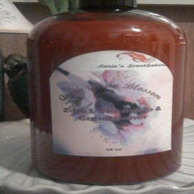 Asian Plum Blossom 2-in-1 Shampoo & Conditioner
