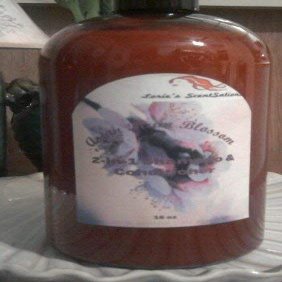 Asian Plum Blossom 2-in-1 Shampoo & Conditioner
