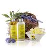 Castle Baths - Gift Basket with Balancing Natural Massage Oil & Luxury Hand and Body Lotion with Organic Shea Butter - Fruity Floral Balancing Lavender, Bergamot, Rose, Grapefruit Aromatherapy Scent view 1