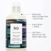 R+Co Television Perfect Hair Shampoo | Body + Shine + Smoothing for All Hair Types | Vegan + Cruelty-Free | view 2