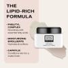 Erno LaszloPhelityl Night Cream, Non-Greasy Night Moisturizer for Face and Neck, Re-Hydrate to a Youthful Skin Tone and Complexion Overnight, 1.7 Fl Oz view 4