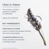 Heritage Store Lavender Flower Water & Glycerine Benefits Skin, Hair & More Aromatherapy Mist Spray 8 oz view 4