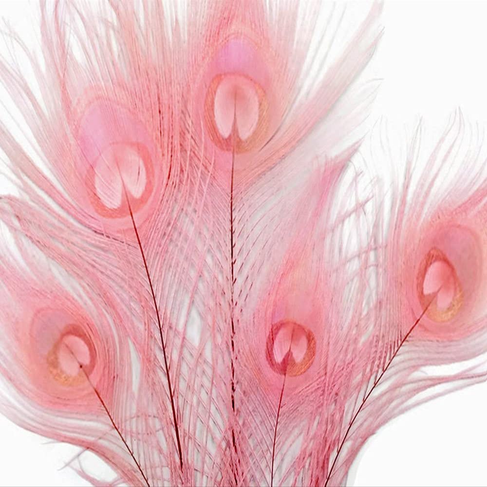 5 Pieces Dusty Pink Bleached & Dyed Peacock Tail Eye Feathers 10-12 Long Halloween Craft Supply | Moonlight Feather