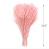 5 Pieces  Dusty Pink Bleached & Dyed Peacock Tail Eye Feathers 10-12 Long Halloween Craft Supply | Moonlight Feather view 3