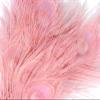 5 Pieces  Dusty Pink Bleached & Dyed Peacock Tail Eye Feathers 10-12 Long Halloween Craft Supply | Moonlight Feather view 4