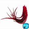 Moonlight Feather, Hair Extension Feathers; 6 Pieces - XL Red Grizzly Thick Extra Long Rooster Hair Extension Feathers view 2