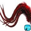 Moonlight Feather, Hair Extension Feathers; 6 Pieces - XL Red Grizzly Thick Extra Long Rooster Hair Extension Feathers view 3