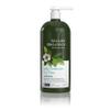 Avalon Organics Scalp Treatment Tea Tree Shampoo, Encourages Scalp Well-Being and Leaves Hair Soft, 32 Fluid Ounces view 1