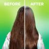 Garnier Fructis Sleek & Shine Moroccan Sleek Smoothing Oil for Frizzy, Dry Hair, Argan Oil, 3.75 Fl Oz, 2 Count (Packaging May Vary) view 4