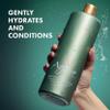 Agave Smoothing Conditioner Lightweight Moisture Infusion & Frizz Control, Sulfate-Free, Color-Safe, 33.8 oz view 3