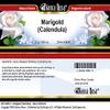 Bianca Rosa Marigold (Calendula) - Salve Ointment (2 oz, ZIN: 428541) view 3